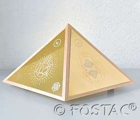 WELLNESS BALANCER (FE)