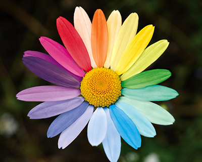 FOSTAC Sommerfest 2026